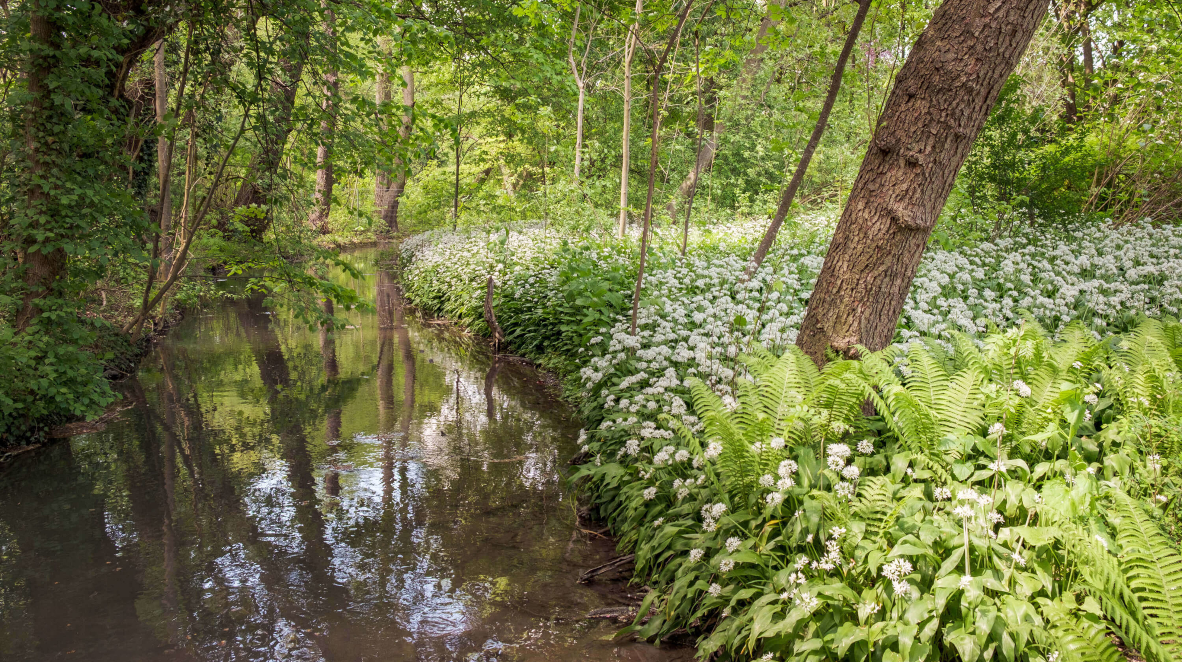 Kinder die gelehrt werden